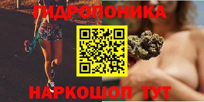 МДПВ Ачхой-Мартан