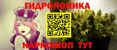 МДПВ Ачхой-Мартан