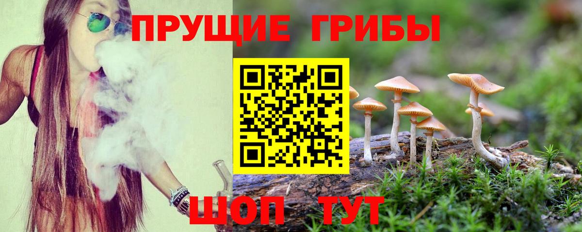 Верхняя Пышма  Псилоцибиновые грибы Psilocybe  Галлюциногенные грибы Magic Shrooms  Вход с VPN 